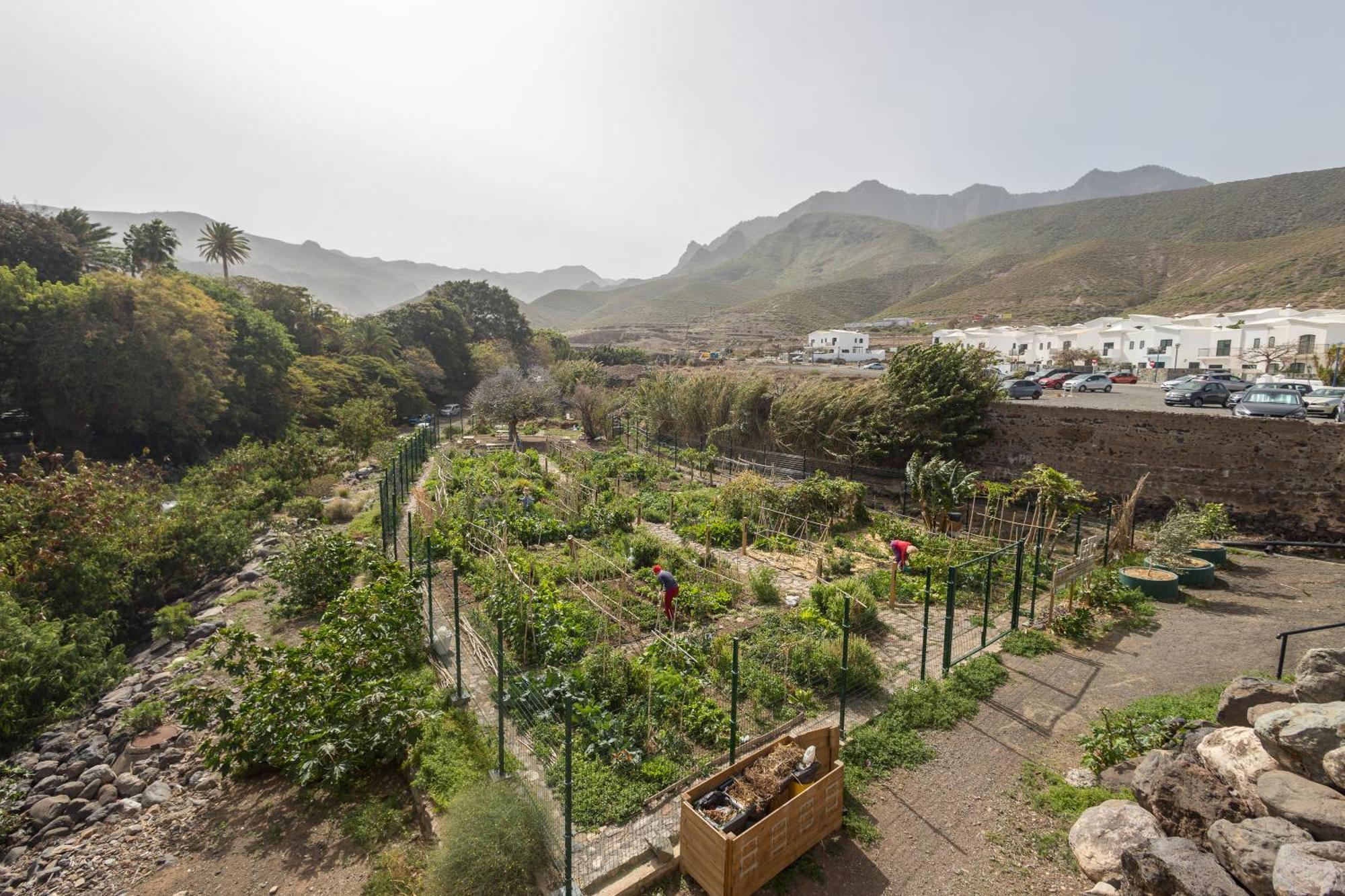 Casa Carmen Agaete Con Terraza Y Vistas Al Mar公寓 外观 照片