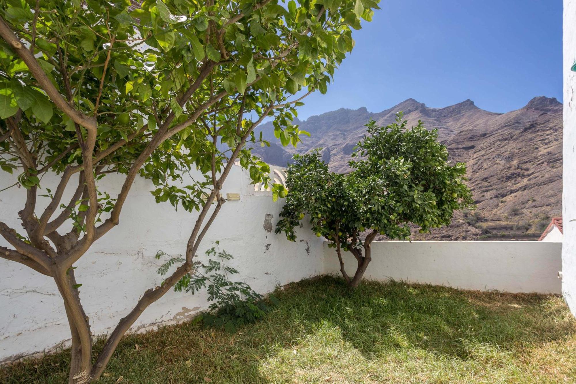 Casa Carmen Agaete Con Terraza Y Vistas Al Mar公寓 外观 照片