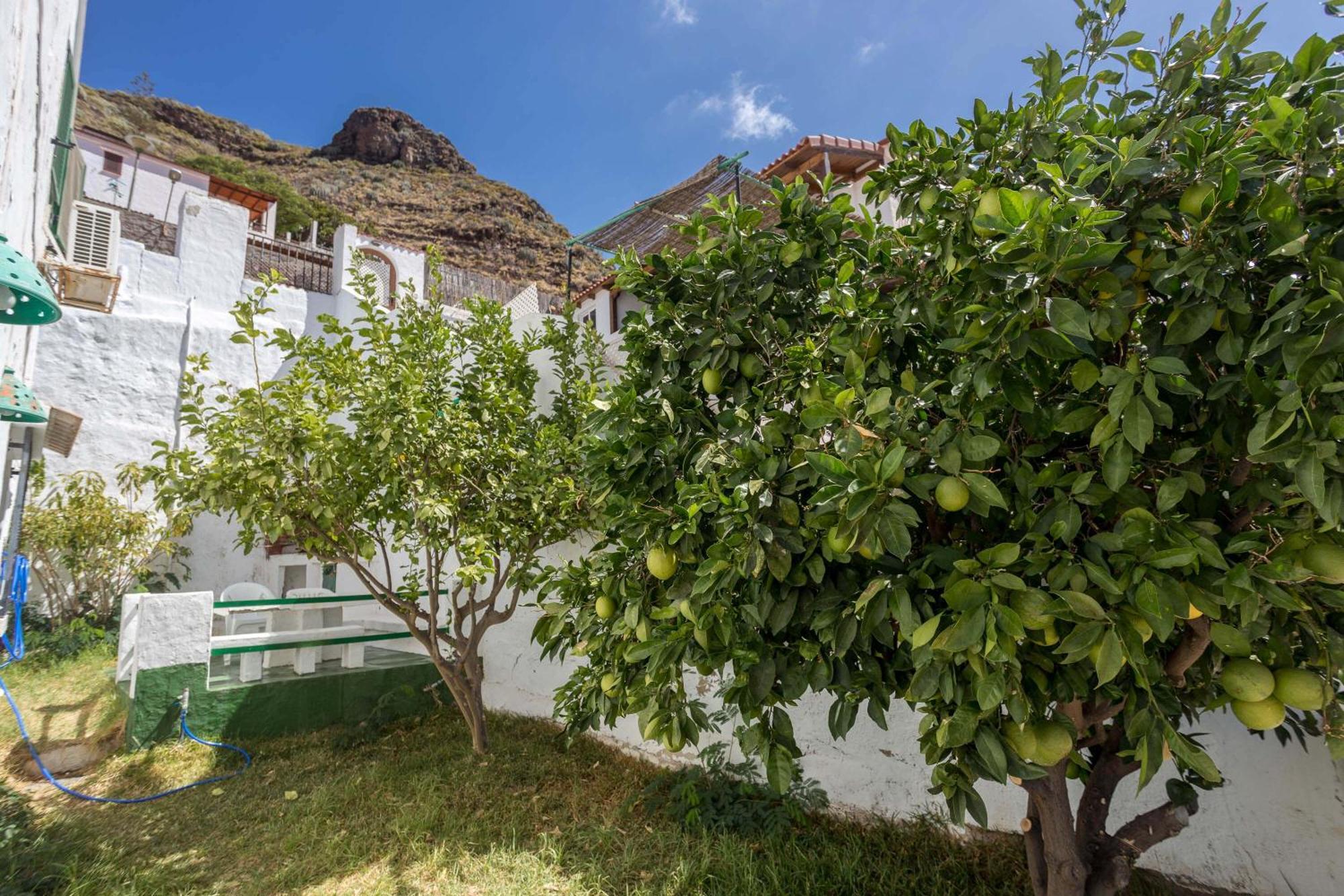 Casa Carmen Agaete Con Terraza Y Vistas Al Mar公寓 外观 照片